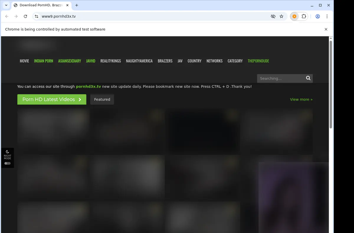Brazzers3x Video Downloader browser extension screenshot 5